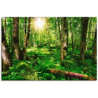 Artland Wandbild »Wald«, Wald, (1 St.), als Leinwandbild, Poster,
