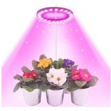 DTC GmbH Pflanzenlampe LED Pflanzenlampe, Timer Pflanzenlicht, 20-80 LEDs Pflanzenleuchte rosa