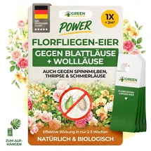 cubero gmbh Florfliegenlarven gegen Blattläuse & Wollläuse 1 Karte für 2 m2