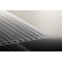 T&J Doppelstegplatten 16 mm Farblos ANTIHAGEL Breitkammer 16/32 Polycarbonat 980 x 2000