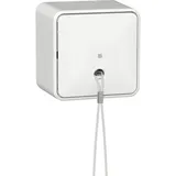 Gira Zugschalter 314613