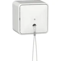 Gira Zugschalter 314613