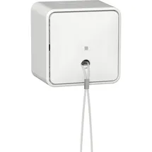 Gira Zugschalter 314613