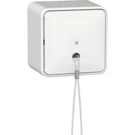Gira Zugschalter 314613