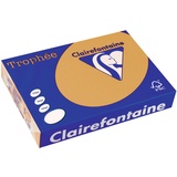 Clairefontaine Trophée 160 g/m² 250 Blatt (1102C)