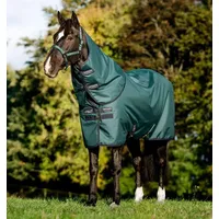 Horseware Amigo Ripstop 900D Plus Turnout 100g Decke Dynasty