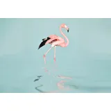 Living Walls Fototapete ARTist Flamingo Water, (Set, 4 St), Flamingo, Vlies, glatt rosa