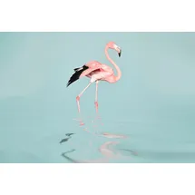 Living Walls Fototapete ARTist Flamingo Water, (Set, 4 St), Flamingo, Vlies, glatt rosa