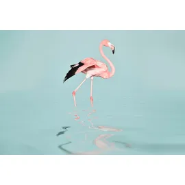 Living Walls Fototapete ARTist Flamingo Water, (Set, 4 St), Flamingo, Vlies, glatt rosa