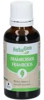 HERBALGEM - Framboisier Bio Complément Alimentaire Extrait De Bourgeon Frais Pour Santé Féminine 30 ml Goutte(S)