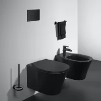 Ideal Standard E0266 Toilette