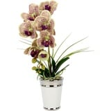 I.GE.A. Kunstblume »Orchidee«, im Topf, aus Keramik, Seidenblume Real Touch, lila