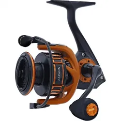 Kinetic Xarann 3000, 3000