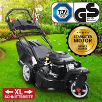 Brast Trike 21224