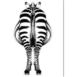 ANY IMAGE Kunstdruck »Zebra II«, mehrfarbig, Alu-Dibond - bunt