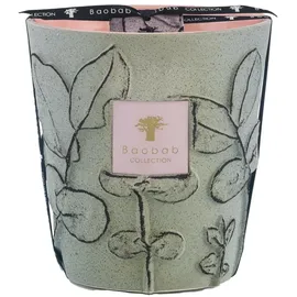BAOBAB Folia Maquis Duftkerze 2050 g grün