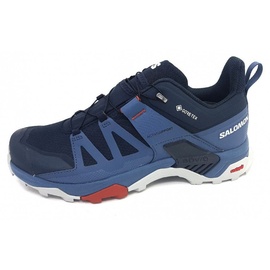 Salomon X Ultra 4 Gore-Tex Herren Carbon / Bering Sea / Pearl Blue 42 2/3