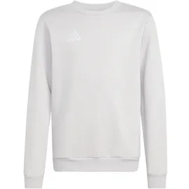 adidas Entrada26 Lightgrey 104