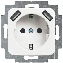 Busch-Jaeger 20 EUCB2USB-214 SCHUKO-2x USB Steckdose