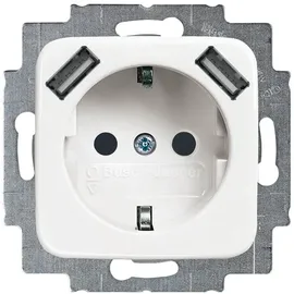 Busch-Jaeger 20 EUCB2USB-214 SCHUKO-2x USB Steckdose