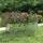 vidaXL Garten-Hochbeet verzinkter Stahl rechteckig 160 x 40 x 45 cm Silber 