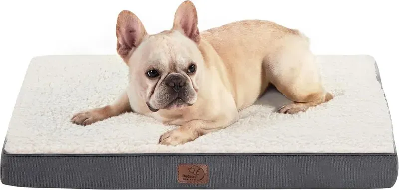 BEDSURE Hundekissen, Eierkarton-Schaumstoff für kleine, mittlere und große Hunde, orthopädisches Hundebett, gemütliche Liegefläche, 75 x 50 cm, waschbar, Höhe 8 cm, Grau/Beige