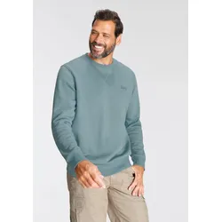 Sweatshirt, Langarm, Basic-Stil, unifarben, Rundhalsausschnitt, Gr. 5XL (72/74), rauchblau-meliert, , 76542518-5XL