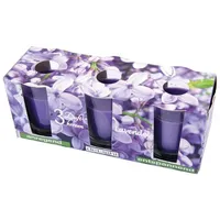 HS Candle Duftkerze Klassische Düfte 3 St. lila