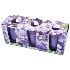 HS Candle Duftkerze Klassische Düfte 3 St. lila