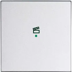 BUSCH-JAEGER Wippe 1-f Symbol Szene 6233-10-83