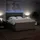 vidaXL Boxspringbett 180 x 200 cm Taupe