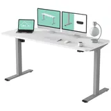 FLEXISPOT Schreibtisch Basic-Series (mit einteiligen Tischplatten), Elektrisch höhenverstellbarer Schreibtisch, 2- Fach-Teleskop grau 160 cm x 80 cm