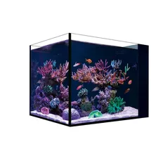 Red Sea Desktop Aquarium Set Peninsula