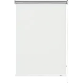 GARDINIA Seitenzug-Rollo 62 x 180 cm Weiß