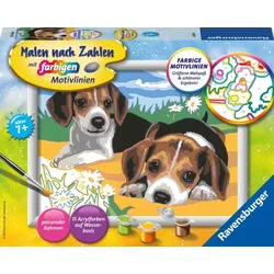 Ravensburger  CreArt 28329 - Jack Russel Welpen - Malen nach Zahlen Hunde für Ki...