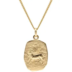 trendor 15404-04 Widder Sternzeichen Gold 333 / 8K mit vergoldeter Silberkette, 50 cm