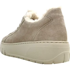 Gabor Damen Low-Top Sneaker, Frauen Halbschuhe,Best Fitting,Freizeitschuhe,Turnschuhe,Laufschuhe,schnürschuhe,Silk/Panna,40.5 EU / 7 UK - 40,5