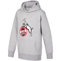 1. FC Köln Hoodie 2023 Grau Kinder Gr. 164