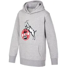 1. FC Köln Hoodie 2023 Grau Kinder Gr. 164