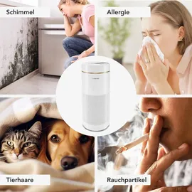 Trotec Design-Luftreiniger AirgoClean® 170 +