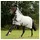 Busse Outdoor-Fliegendecke Sunshine II 145 cm Silber