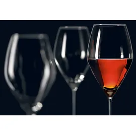 Ritzenhoff & Breker Salsa Rotweinglas 0,59 l 6 St.