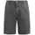 Protest PRTComie Shorts grau