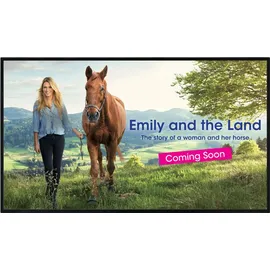 Sharp PN-HS431 Digital Signage Display 109,2 cm 43 Zoll