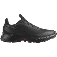 Salomon Damen Alphacross 5 GTX schwarz 40.0