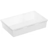 Rotho Aufbewahrungsbox Basic 15 x 23 cm Kunststoff Transparent L (Large)