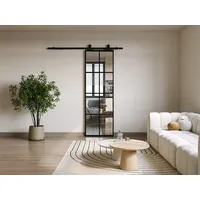 Schiebetür mit Laufschienensystem - Aluminium & Sicherheitsglas - 205 x 93 cm - WILDEN II