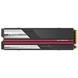 Netac NV7000 2TB M.2 Interner SSD 2TB NVMe 1.4 PCIe Gen4 SLC Cache, Kühlkörper aus Aluminium, für Laptop, PS5, PC