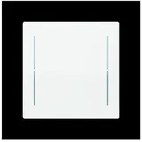 Busch-Jaeger USB-Steckdose Studioweiß Matt 2 St.