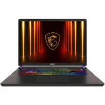 MSI Vector 17 HX AI A2XWHG-041 Intel Core Ultra 9 275HX 32 GB RAM 2 TB SSD RTX 5070 Ti